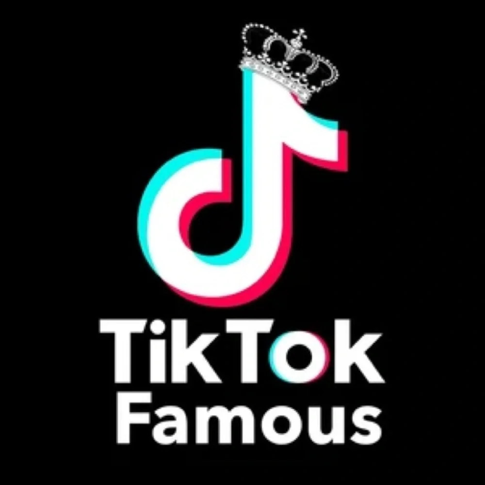 NEW 3200 Unisex 3/4 Sleeve “Tick Tok Famous” Social Media Baseball Style Shirt - Picture 5 of 6